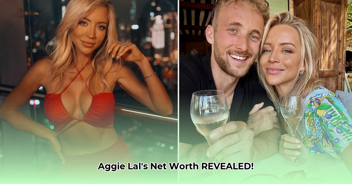 aggie-lal-net-worth